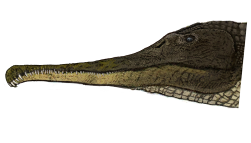 Реставрация прижизненного облика юпийкама.