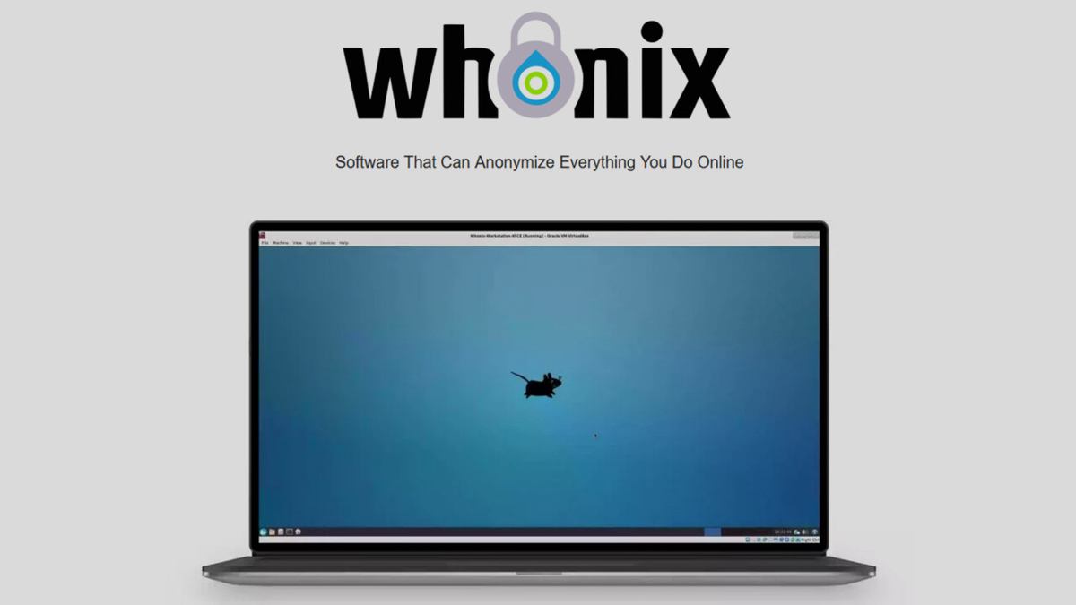 Изображение в свободном доступе.