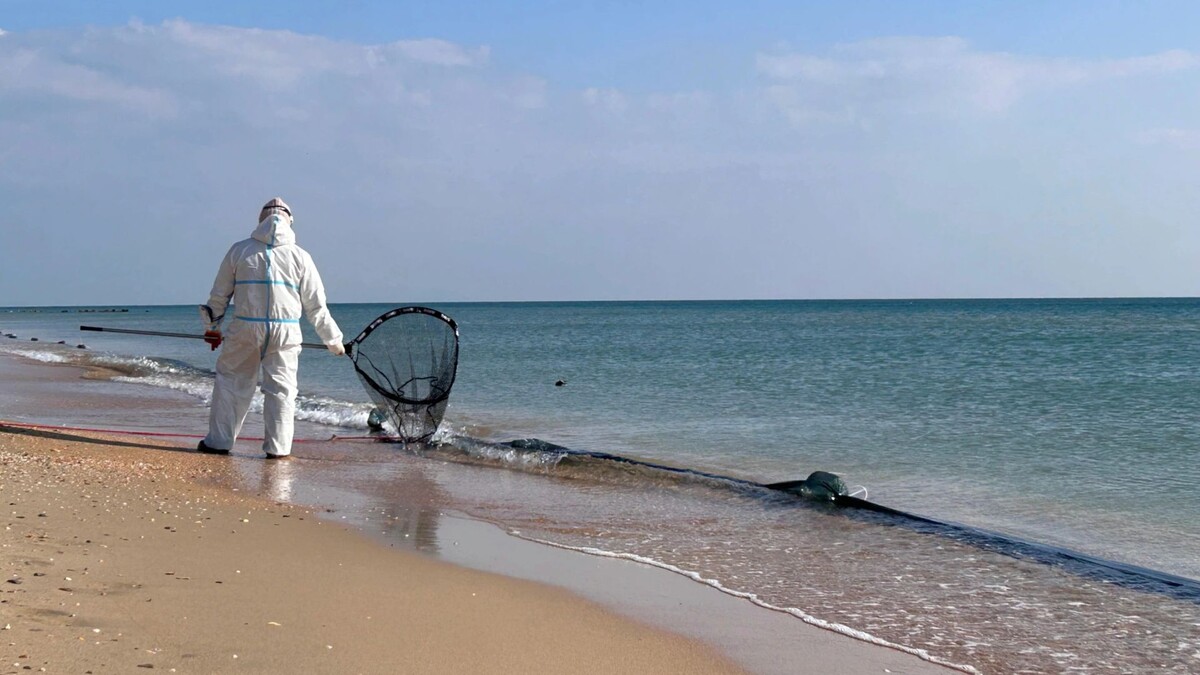    Фото: из личного архива Анны Синицыной