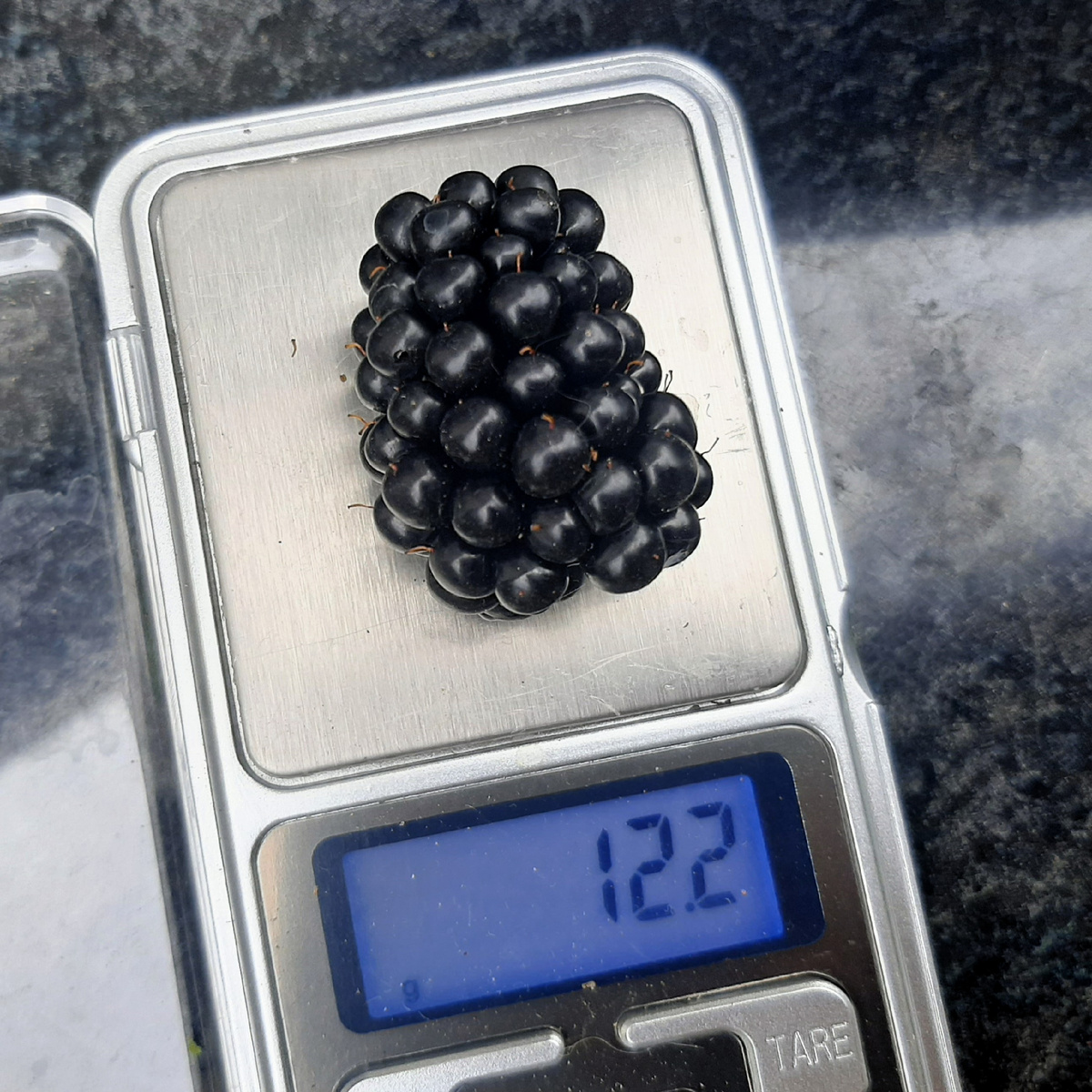 3 августа 2025