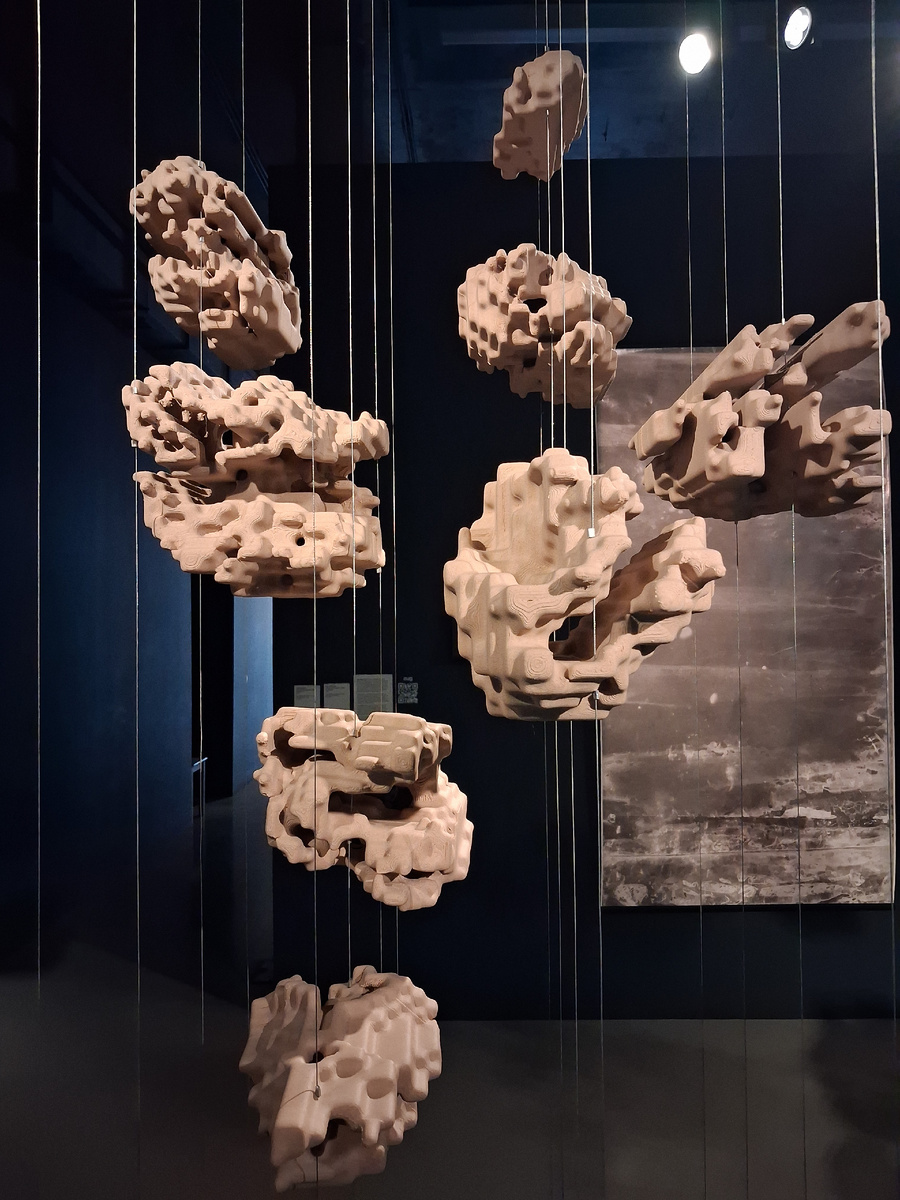 Экспонат экологической бионнале. Фото автора.