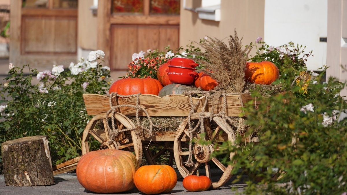 Светлана Мулыкина📷
