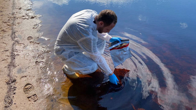 Фото: Госветслужба Ленобласти