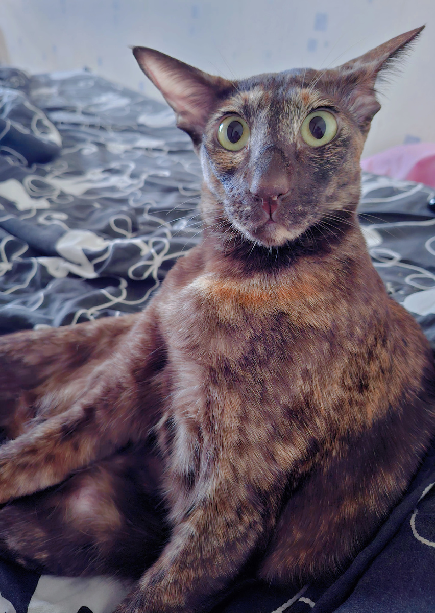 Мам, ты че? Пугаешь меня. Может тебе записаться на терапию?