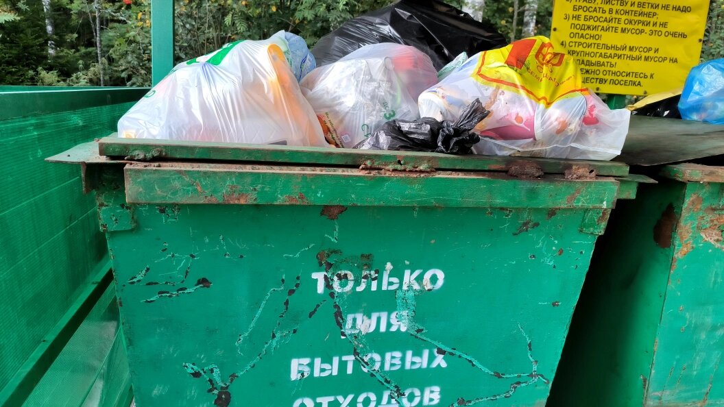    Фото: Maksim Konstantinov/Globallookpress