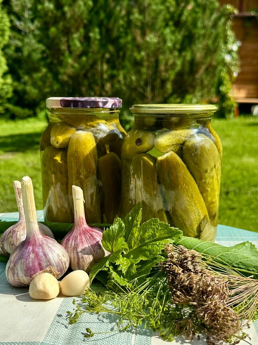 Фото автора.