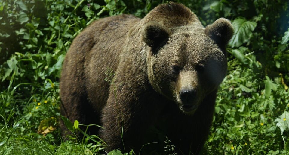    Oscar J. Barroso/Keystone Press Agency / www.globallookpress.com