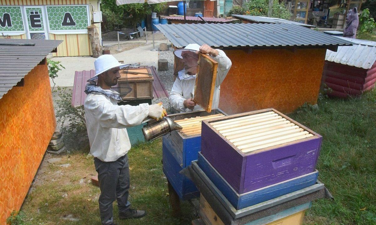    Фото пресс-службы администрации Сочи