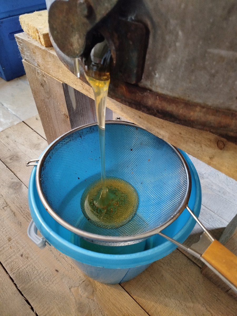 Первый ручеёк.