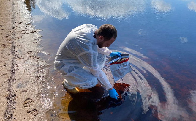    © Управление ветеринарии Ленинградской области