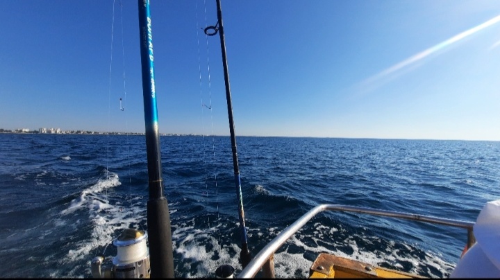 Прям тревожно было, когда всё дальше и дальше в море уплывали 🫣