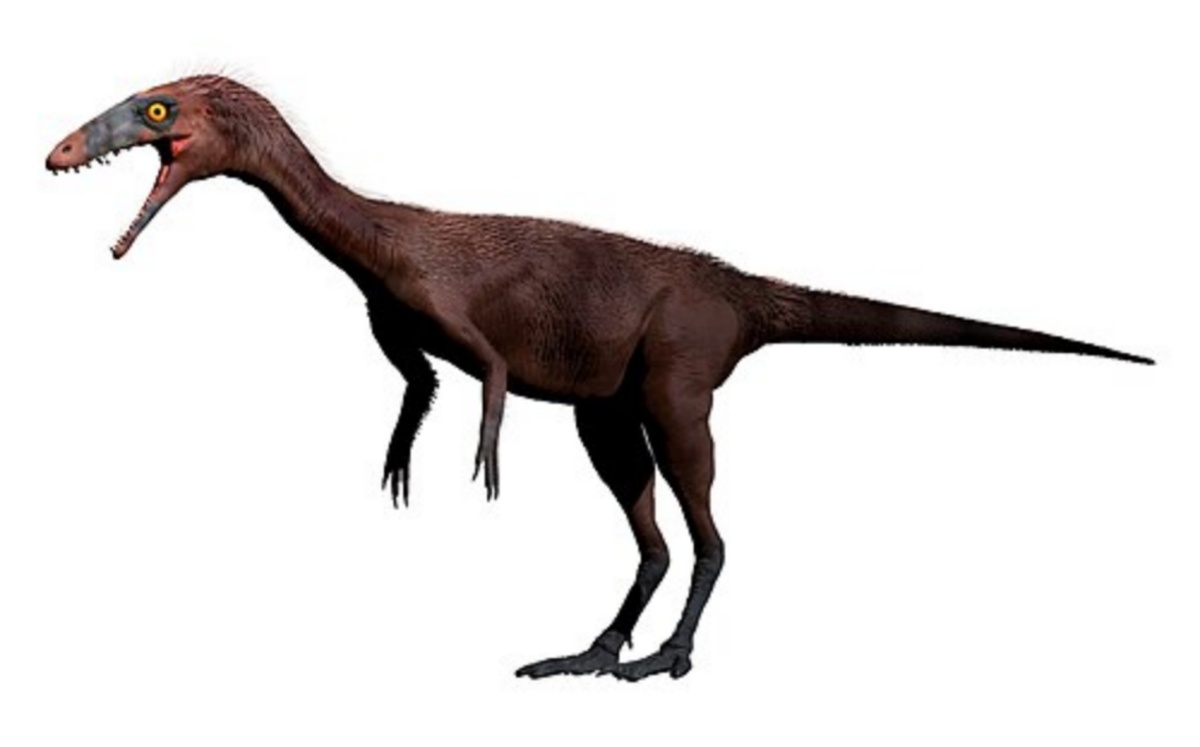 Реставрация прижизненного облика.