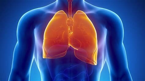 Изображение не нарушает правил платформы (Взято из открытых интернет-источников: wikifoto.ru)