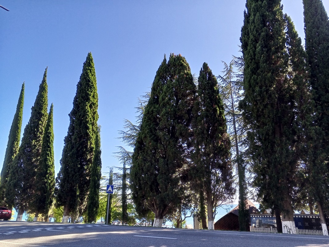 В Новом Афоне осенью. Абхазия-2024, октябрь