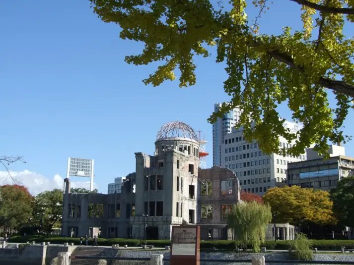    Фото: primamedia.ru Оливия Ильинская