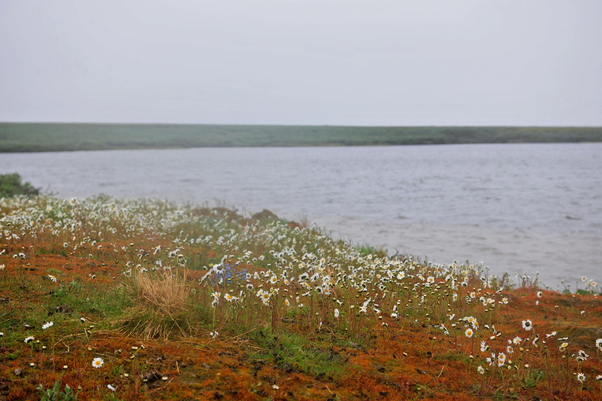 Уровень воздействия на хрупкую природу Ямала – под постоянным контролем
