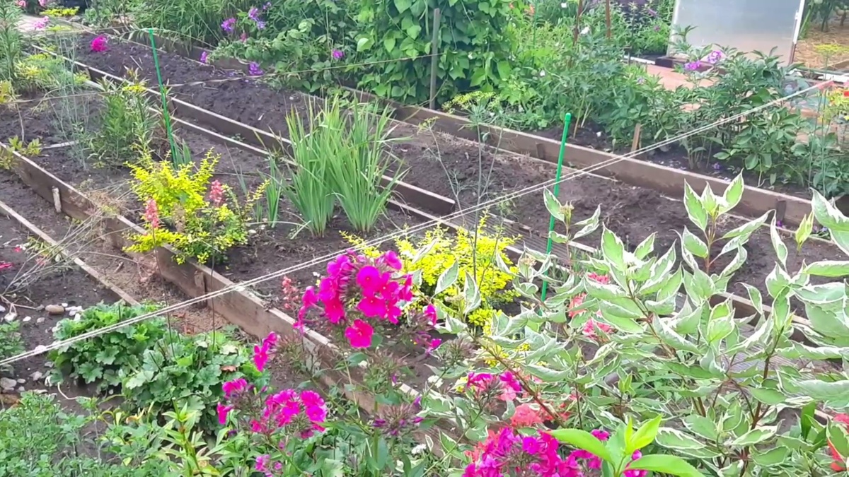 Перепланировка в саду.