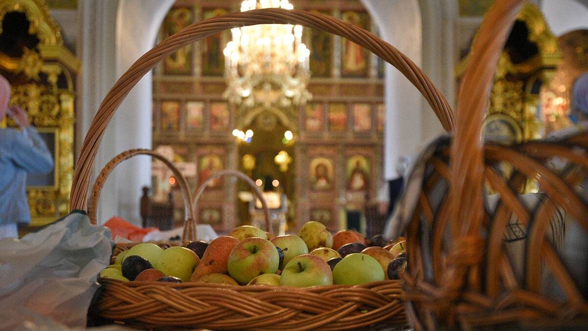    Фото: Пелагия Замятина / Вечерняя Москва