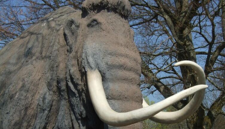    Где есть памятники мамонтам? Фото: по лицензии CC0 Pxhere.com
