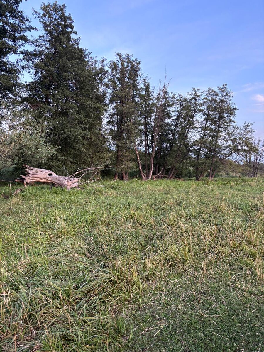 Фото с канала : https://t.me/Ninel_Ninel56