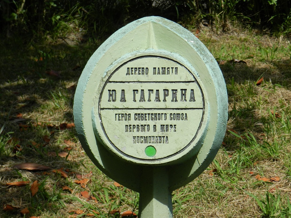 Изображение V Sem с сайта Pixabay
