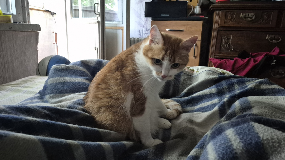 Утро. На меня кто-то сел