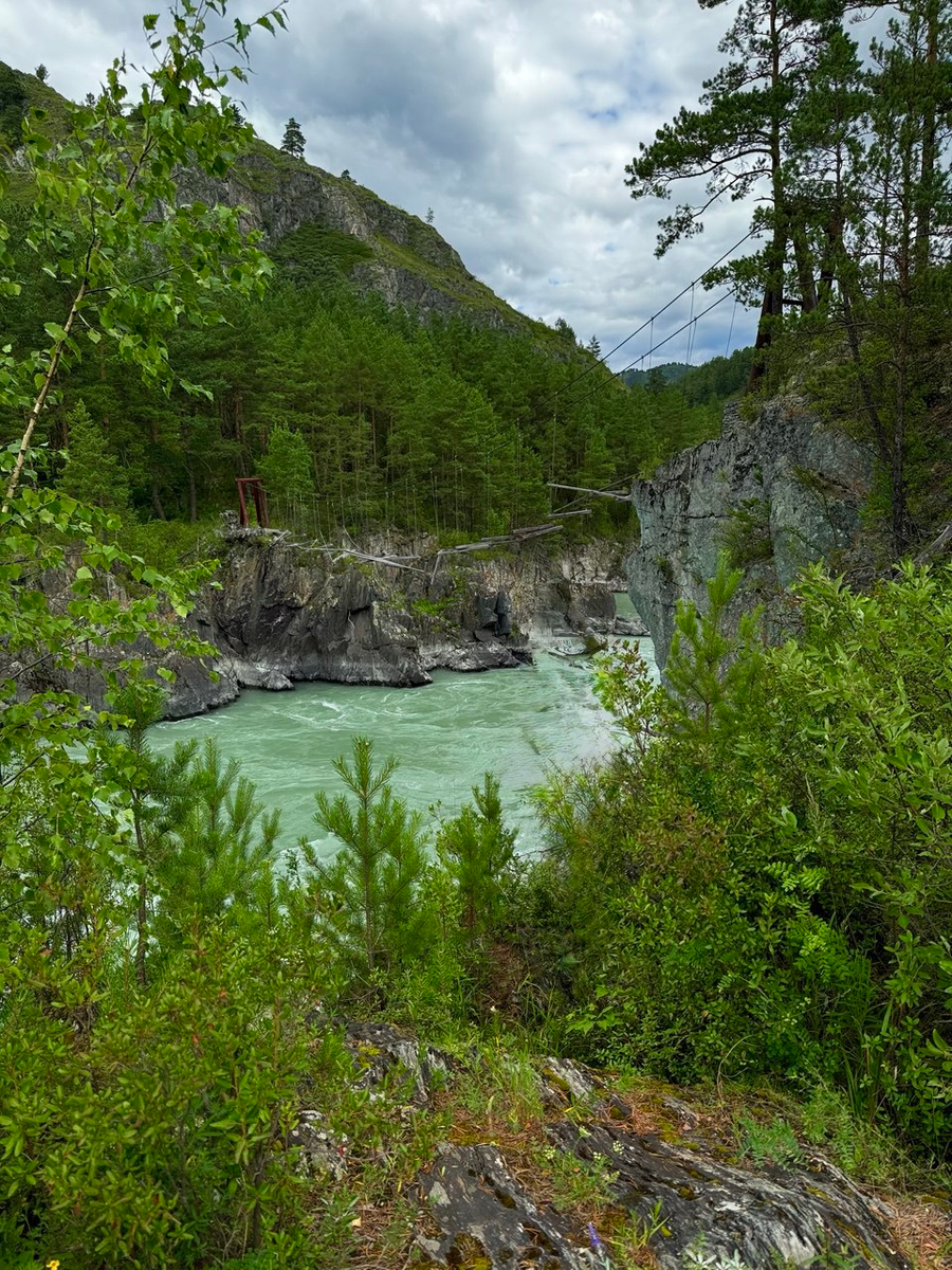 (фото автора)