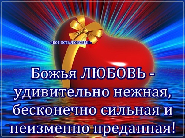 Из открытых источников Яндекса.