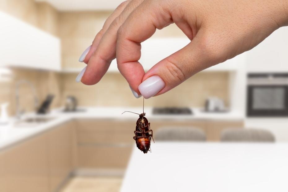    Shutterstock/FOTODOM