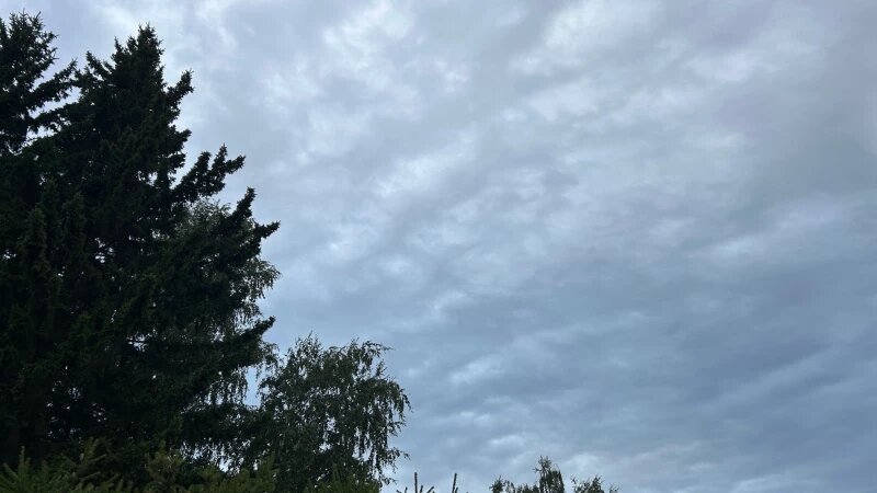     Пасмурное небо над Барнаулом Кристина Тарасова