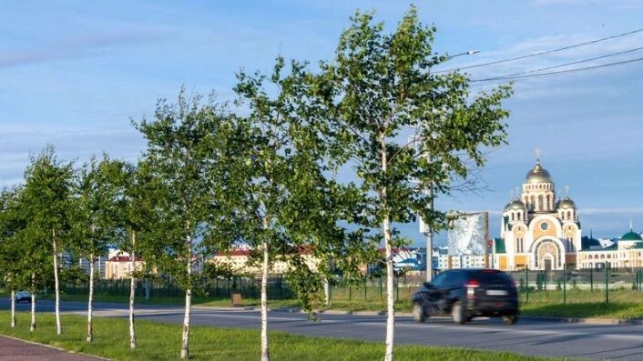    Фото: Фёдор Воронов / «Ямал-Медиа»