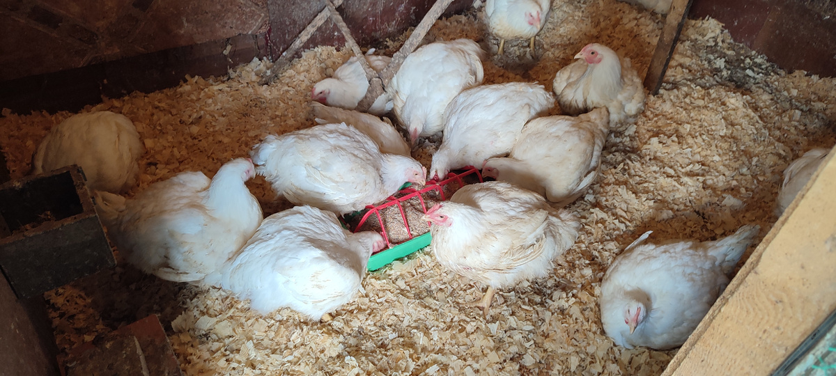 Ну вот, и здесь теперь тоже порядок. 