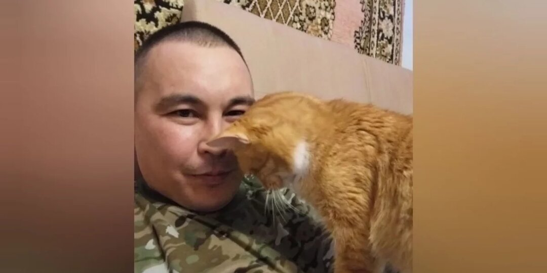 Солдат без погон. Как кот с передовой СВО нашел дом в тылу