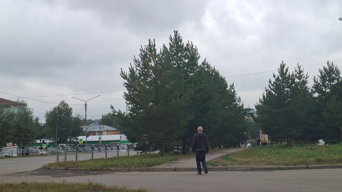 Вид улицу из окна машины. Пасмурно и грустно.