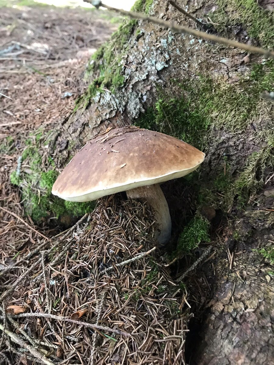 Фото Сергея Заплаткина 14.08.25
