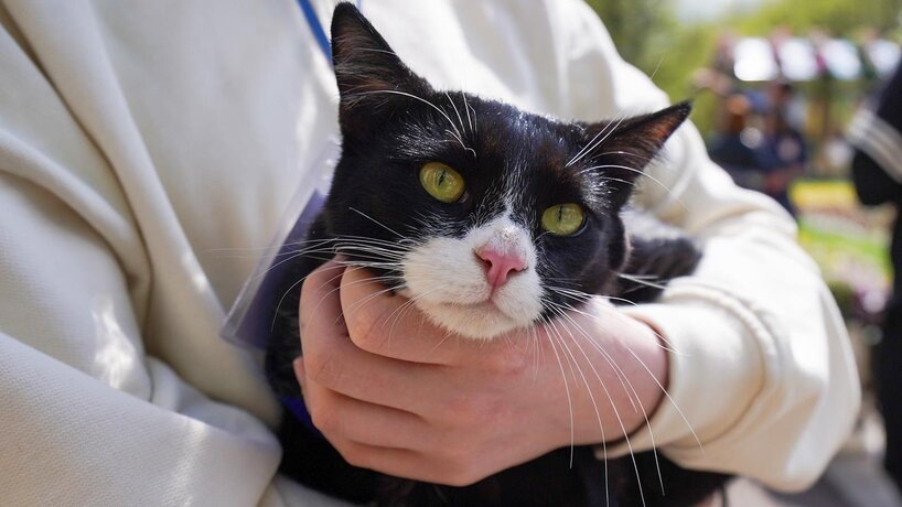    Фото: портал мэра и правительства Москвы/Евгений Самарин