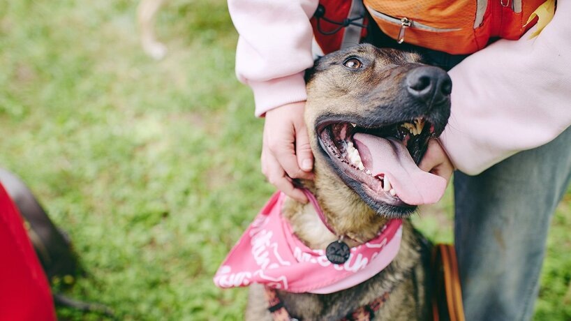    Фото: пресс-служба комитета общественных связей и молодежной политики города Москвы