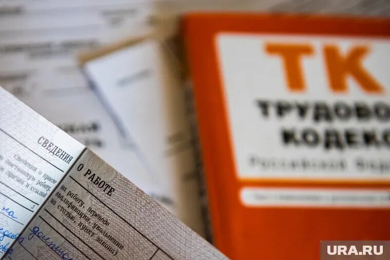 Дмитрий Кофанов считает, что в Трудовом кодексе изменения по поводу мата не нужны
Фото: Анна Майорова © URA.RU