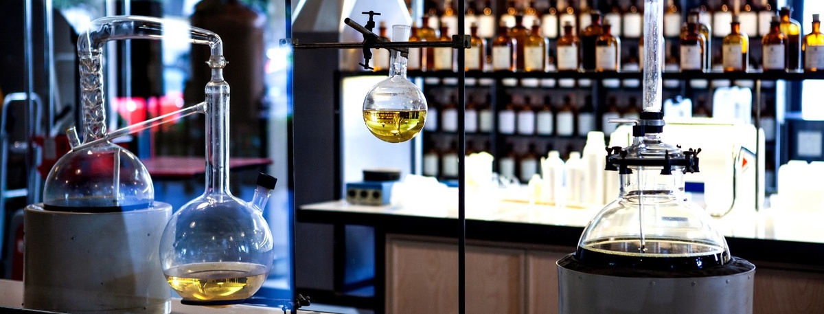    Автор фото: LENA-WURM/Shutterstock/FOTODOM