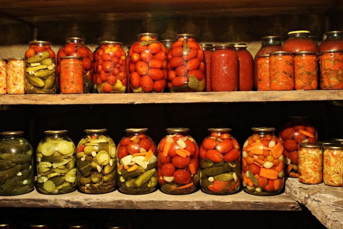    Фото: Anatolijs Gizenko / Shutterstock.com