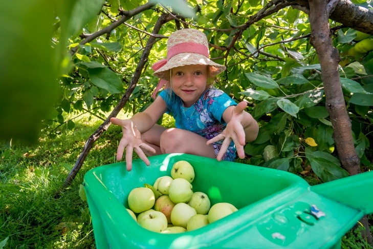    фото Андрея Заржецкого
