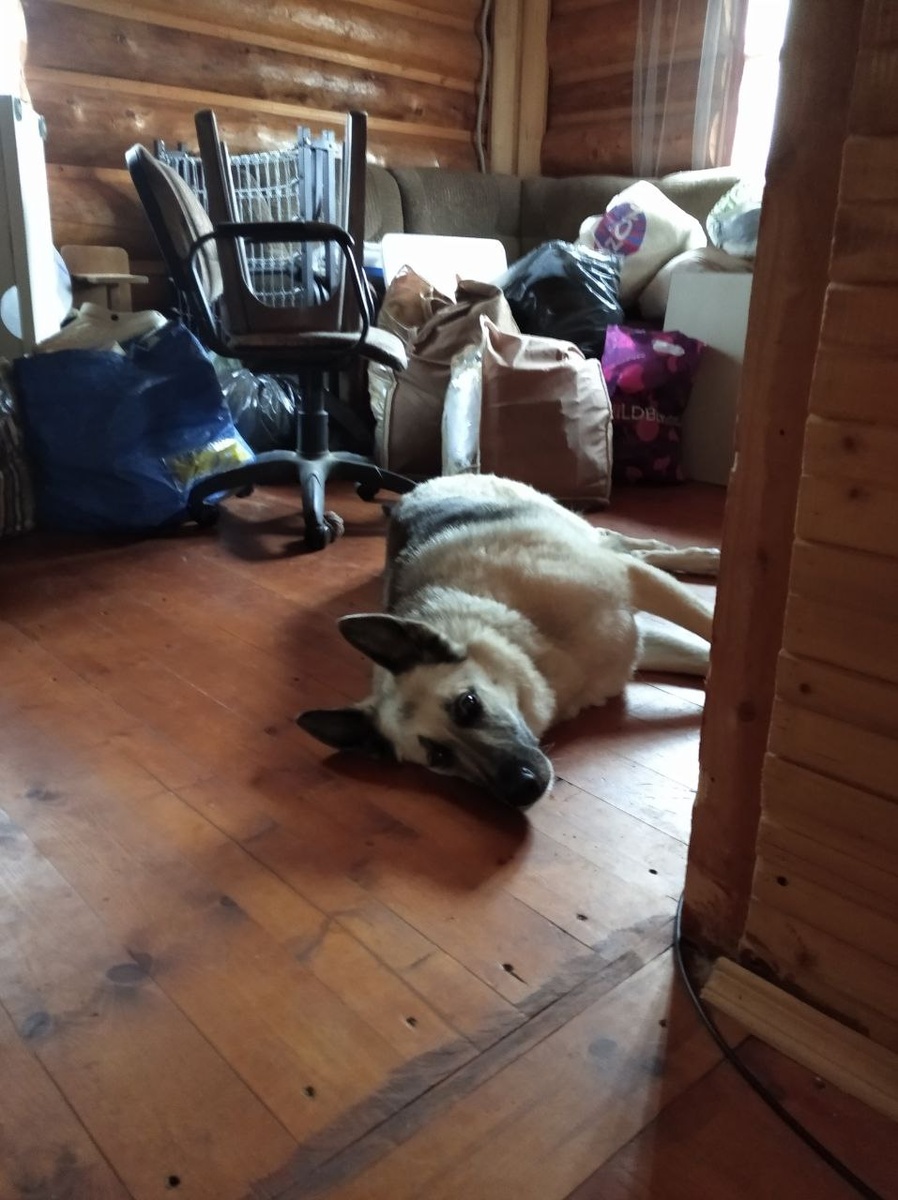 Фото автора