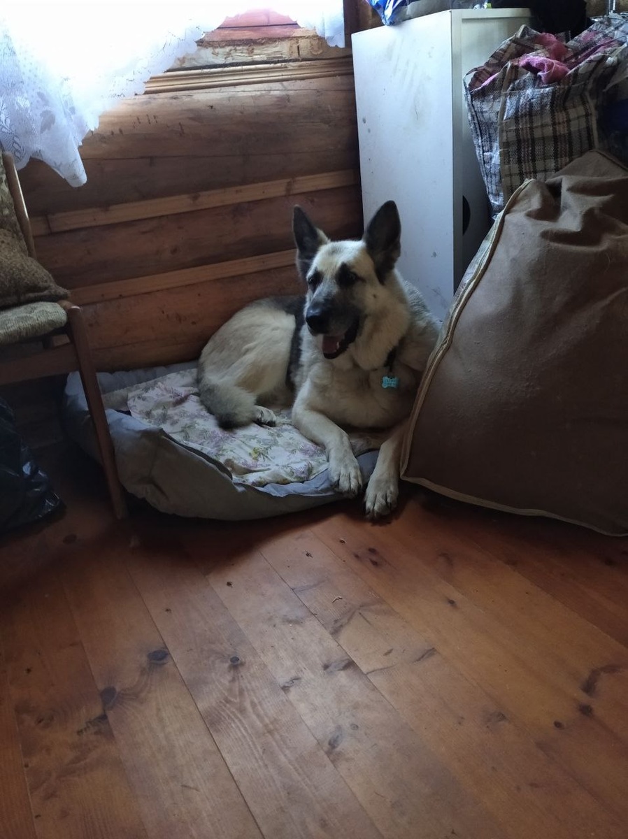 Фото автора