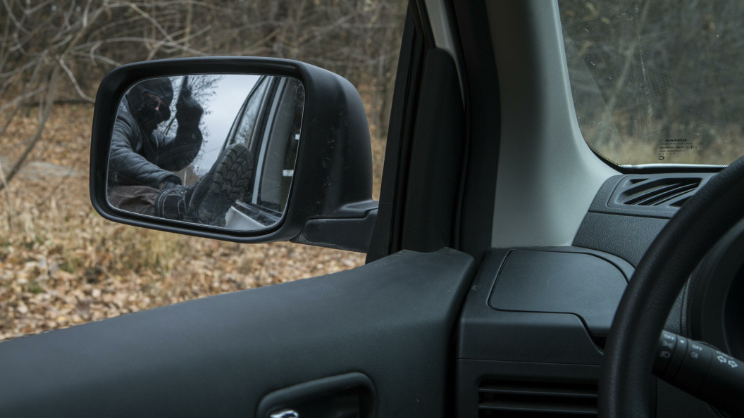    Фото: Nikolay Gyngazov/Russian Look/Globallookpress