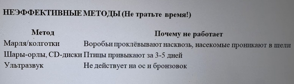 Информация и фото Натальи Мироновой