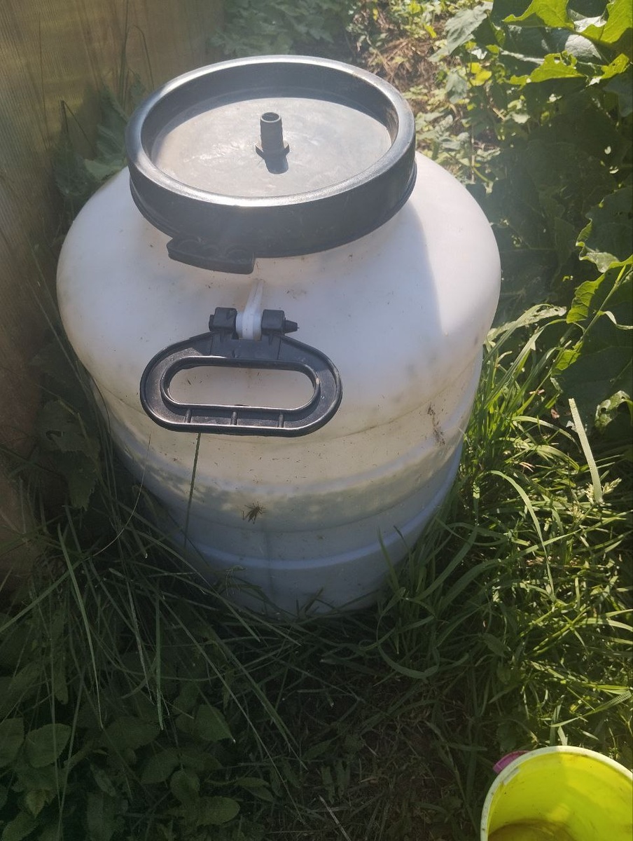 Тара под зеленое удобрение