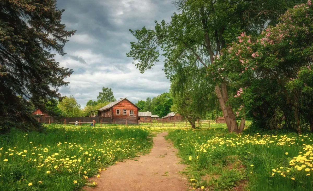 Яндекс картинки