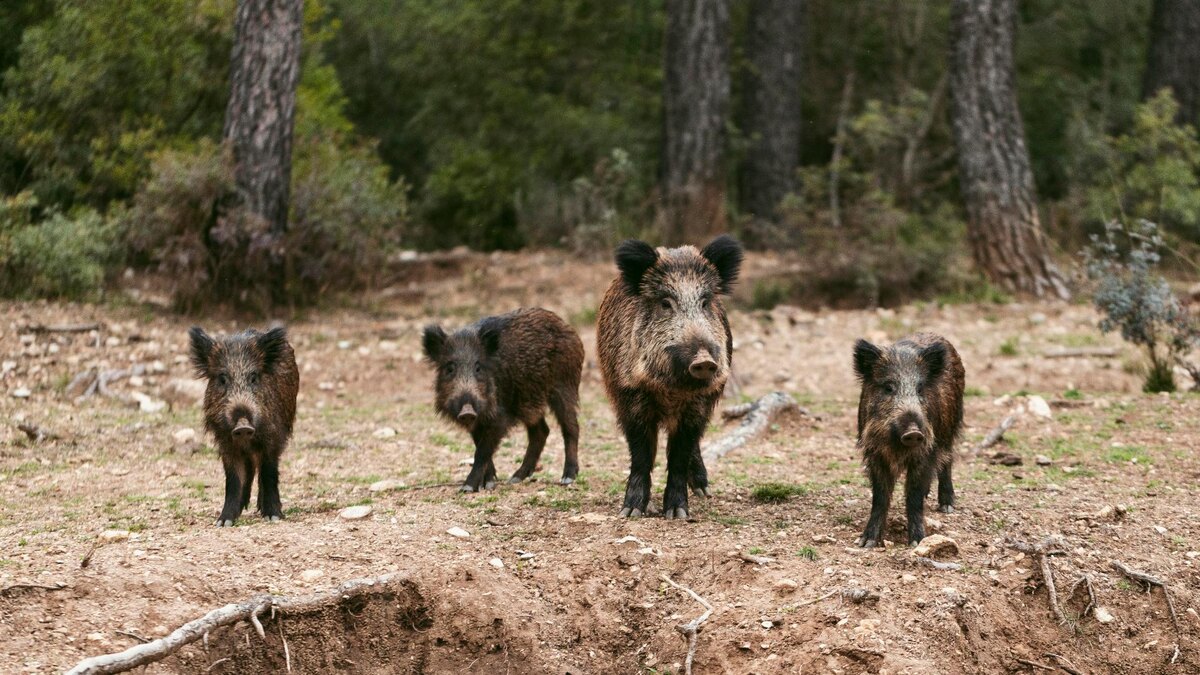    Фото: ru.freepik.com