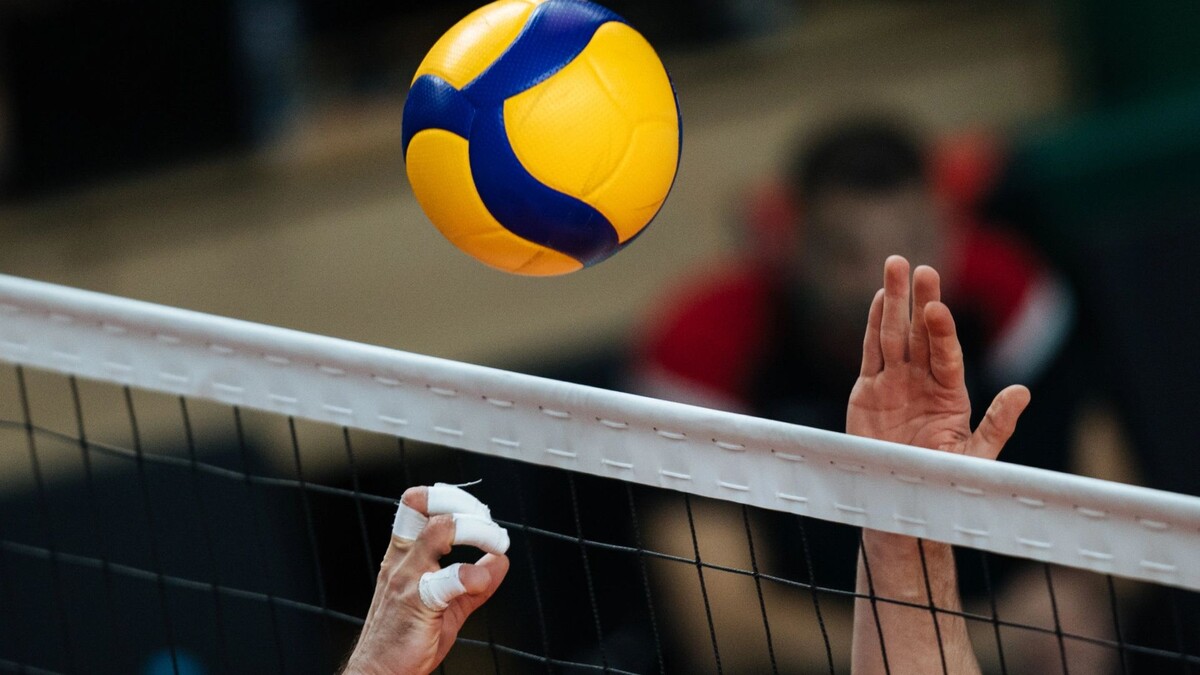    Фото: a.lukin/Shutterstock/Fotodom