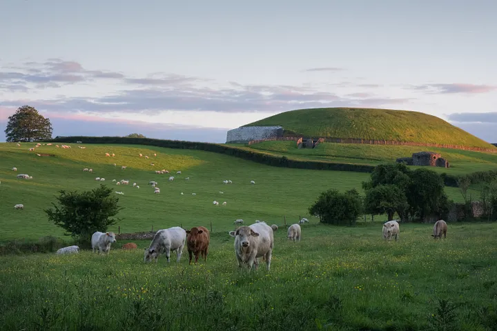 Потрясающий памятник Ньюгрейндж, графство Мит, Ирландия